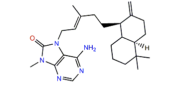 (+)-8'-oxo-Agelasine E